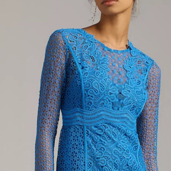 HTF By Anthropologie Sheer Lace Mini Dress - Picture 5 of 7
